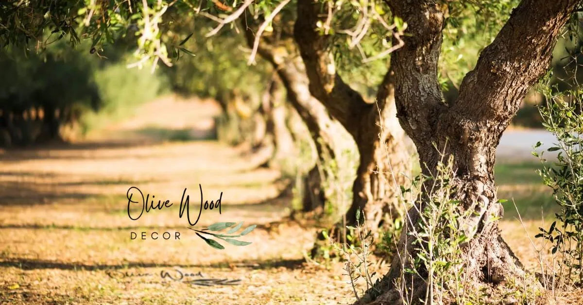 Handcrafted Olive Wood Decor from Zabal | Local Artisan